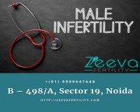 Image for Male Infertility Treatment in Noida