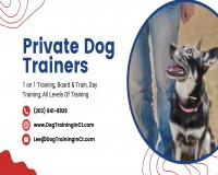 Image for Clark's Companion Dog Training LLC