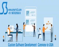 Image for Custom Software Development Company In USA, UK
