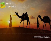 Image for Best Desert Safari in Dubai – Desertsafaridubai.ws