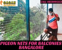 Image for Pigeon net in bangalore