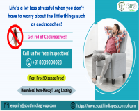 Image for Cockroach Control Services in Cochin