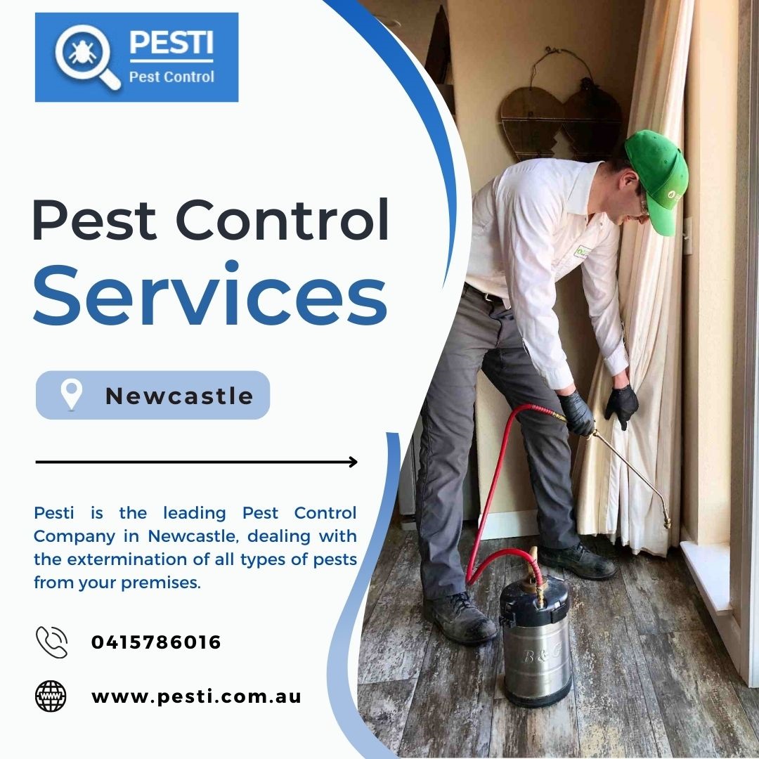 Pest Control Services in Chandigarh and Mohali