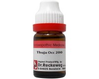 Image for Dr. Reckeweg Thuja Occidentalis | Homoeobazaar.com