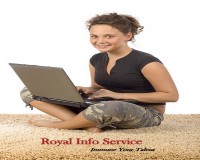 Image for Royal Info Service Offered