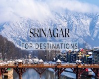 Image for Srinagar 4 Nights 5Days Tour Package starting @19000