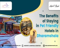 Image for The Benefits of Staying in Pet Friendly Hotels in Dharamshala