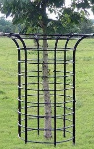 Tree Guads, Iron Tree Guards - Buy Garden Furniture online