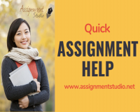 Image for Best assignment service online