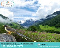 Image for North Sikkim Tour Packages || Call : +91-9836117777