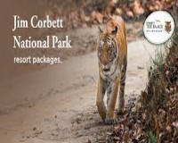 Image for Delhi-Corbett National Park Weekend Tour