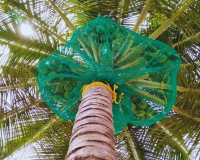 Image for Coconut Tree Safety Net Service Provider in Bangalore-Menorah CocoNets